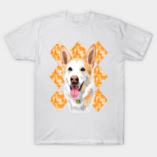 Pet 31 T-Shirt